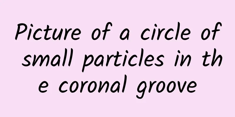 Picture of a circle of small particles in the coronal groove