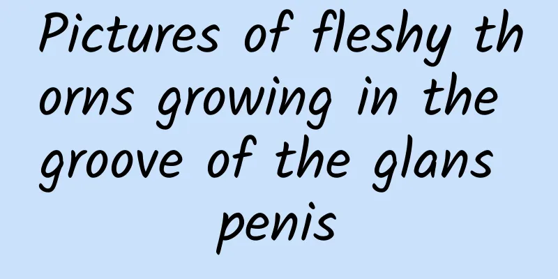 Pictures of fleshy thorns growing in the groove of the glans penis