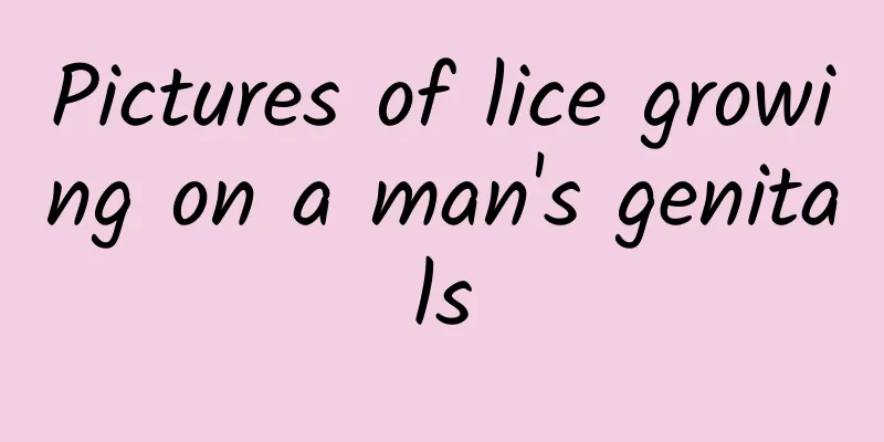 Pictures of lice growing on a man's genitals