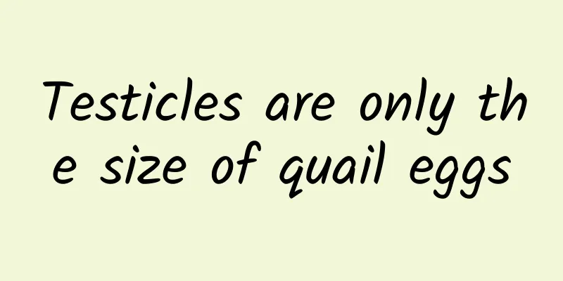 Testicles are only the size of quail eggs