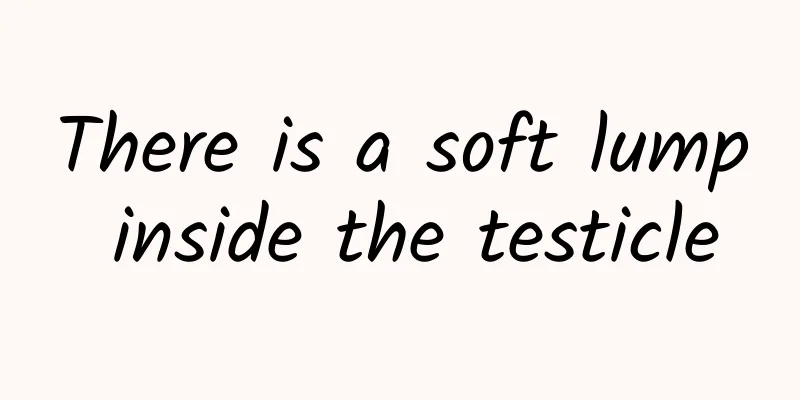 There is a soft lump inside the testicle