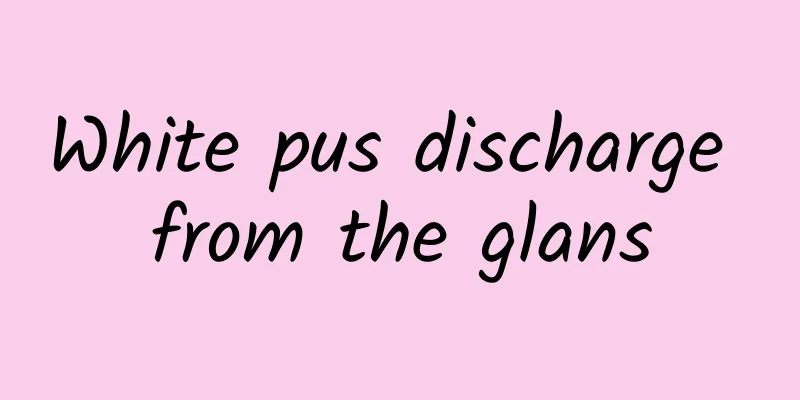 White pus discharge from the glans