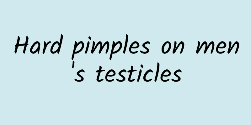 Hard pimples on men's testicles