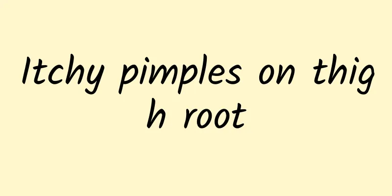 Itchy pimples on thigh root