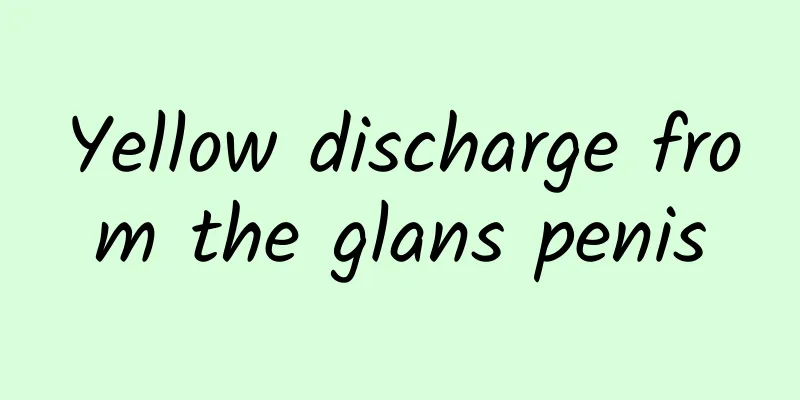 Yellow discharge from the glans penis