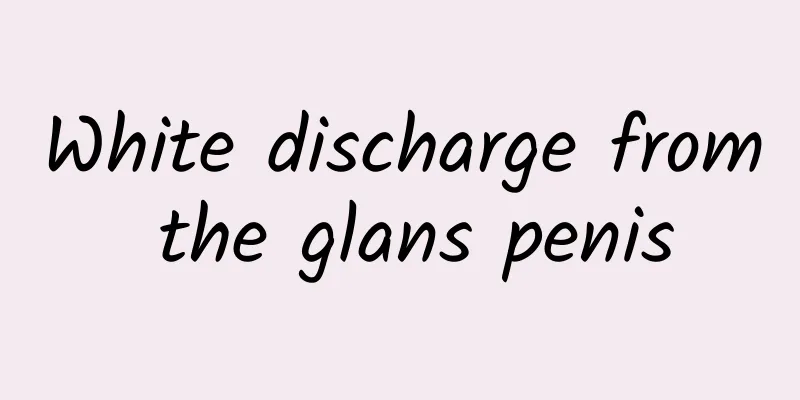 White discharge from the glans penis