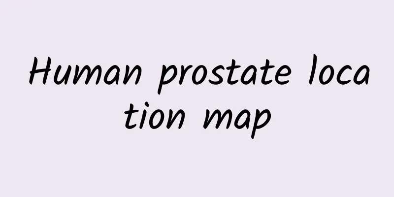 Human prostate location map