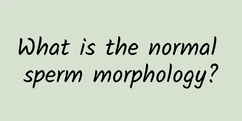 What is the normal sperm morphology?