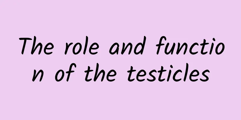 The role and function of the testicles