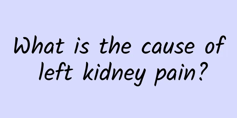 What is the cause of left kidney pain?