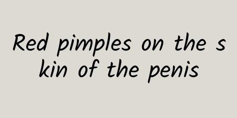 Red pimples on the skin of the penis