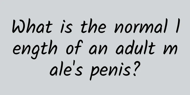 What is the normal length of an adult male's penis?