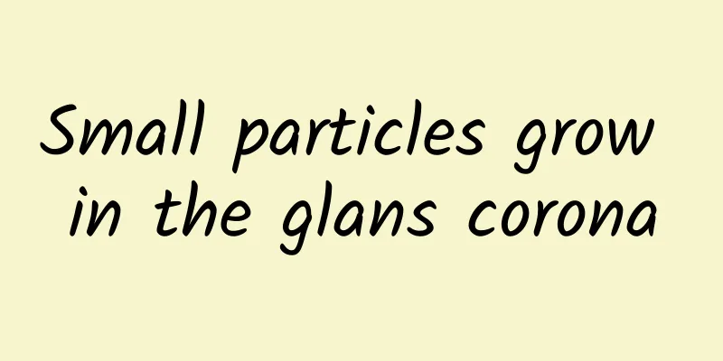 Small particles grow in the glans corona