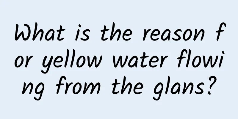 What is the reason for yellow water flowing from the glans?