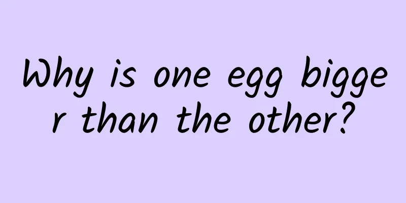 Why is one egg bigger than the other?