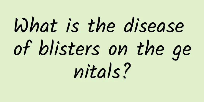 What is the disease of blisters on the genitals?