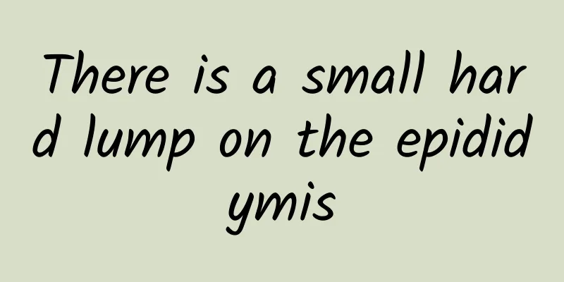 There is a small hard lump on the epididymis