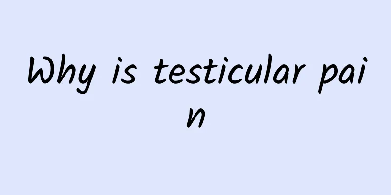Why is testicular pain