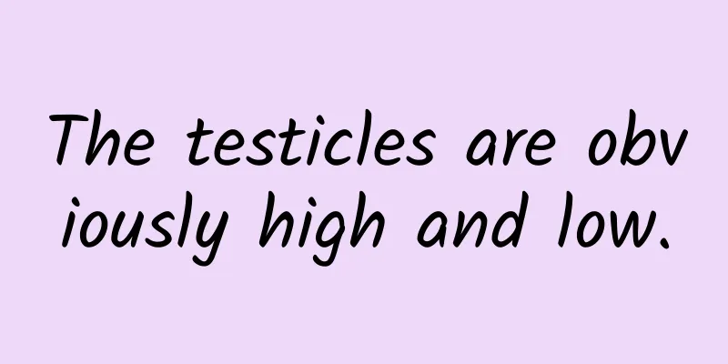 The testicles are obviously high and low.