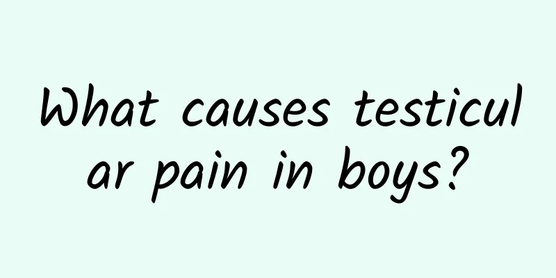 What causes testicular pain in boys?