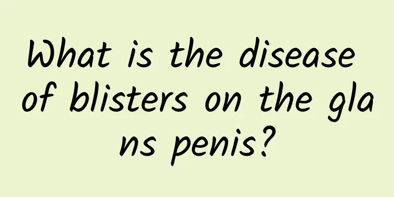 What is the disease of blisters on the glans penis?