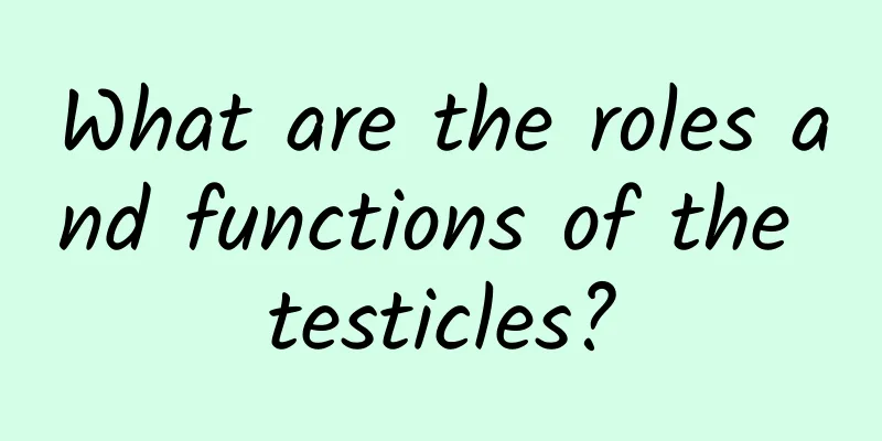 What are the roles and functions of the testicles?