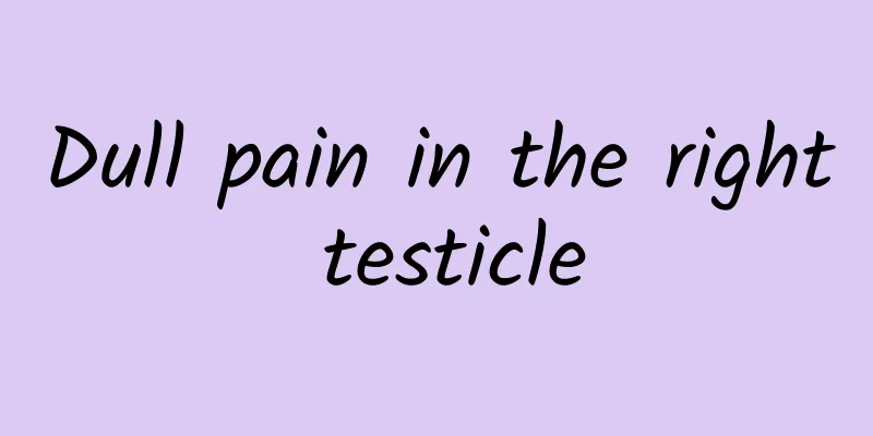 Dull pain in the right testicle