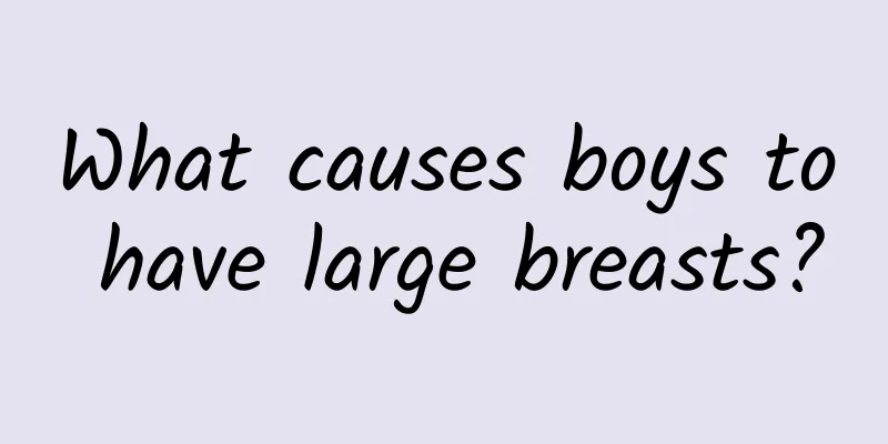What causes boys to have large breasts?