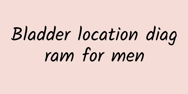 Bladder location diagram for men