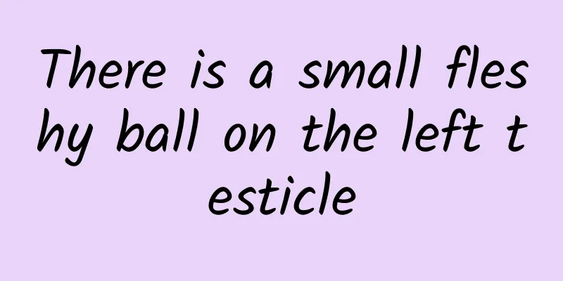 There is a small fleshy ball on the left testicle