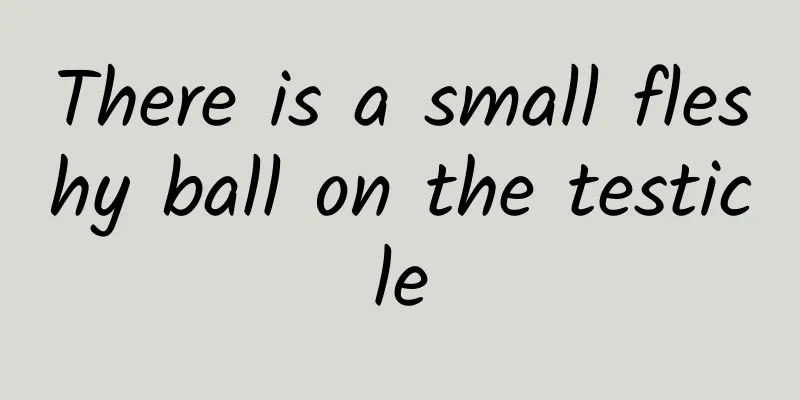 There is a small fleshy ball on the testicle