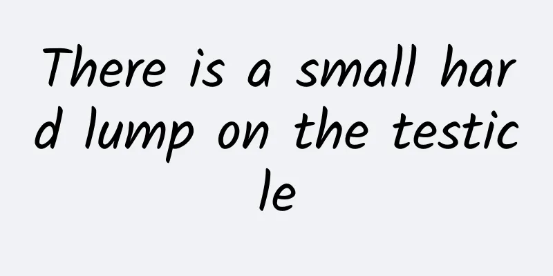 There is a small hard lump on the testicle