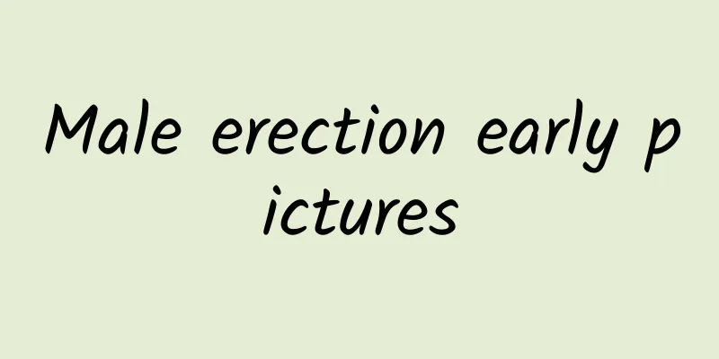 Male erection early pictures