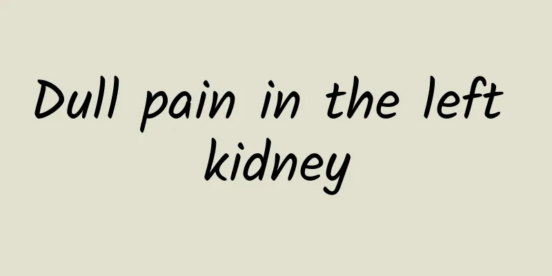 Dull pain in the left kidney