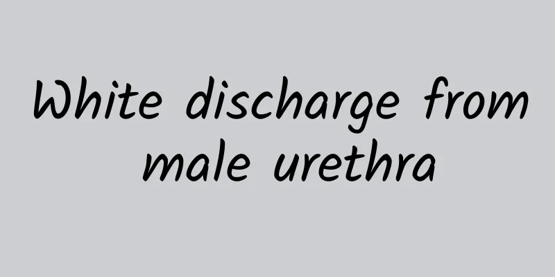White discharge from male urethra