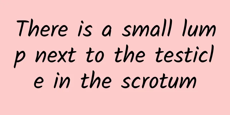 There is a small lump next to the testicle in the scrotum