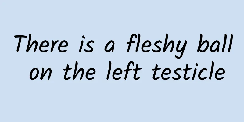 There is a fleshy ball on the left testicle