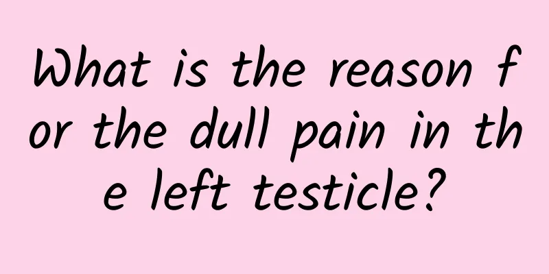 What is the reason for the dull pain in the left testicle?