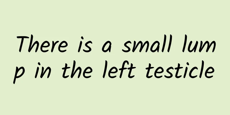 There is a small lump in the left testicle