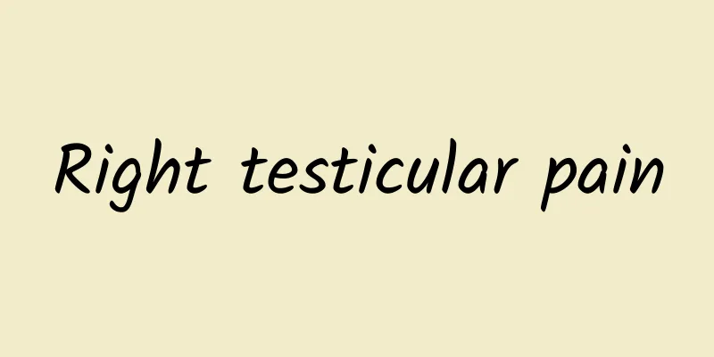 Right testicular pain
