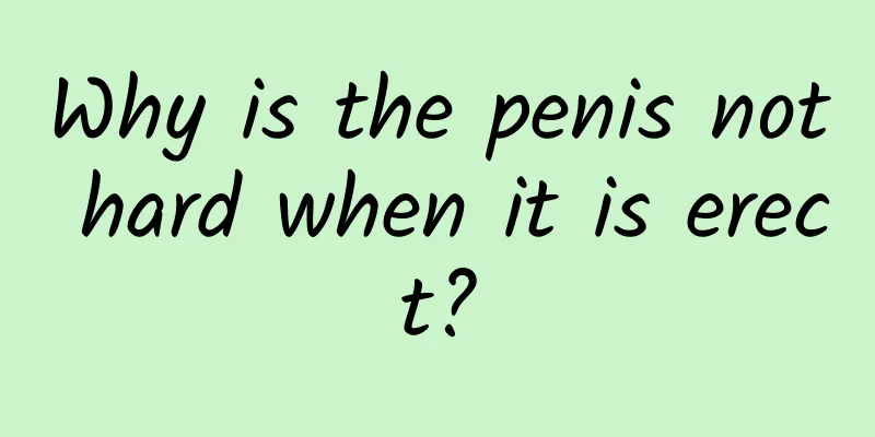Why is the penis not hard when it is erect?