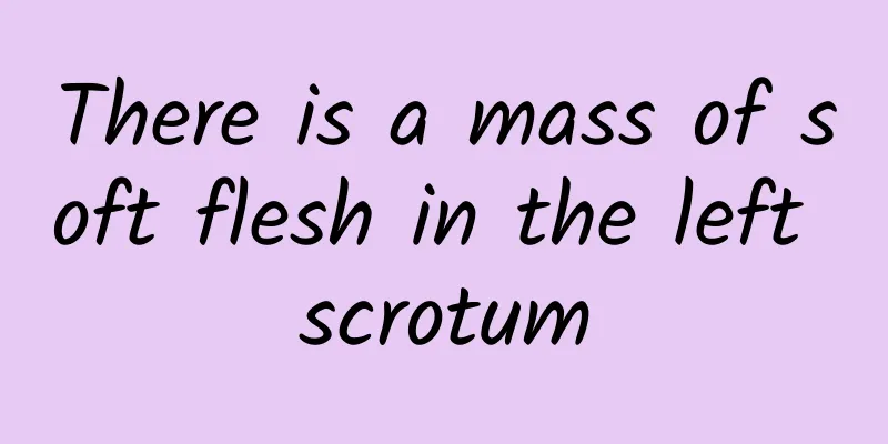 There is a mass of soft flesh in the left scrotum