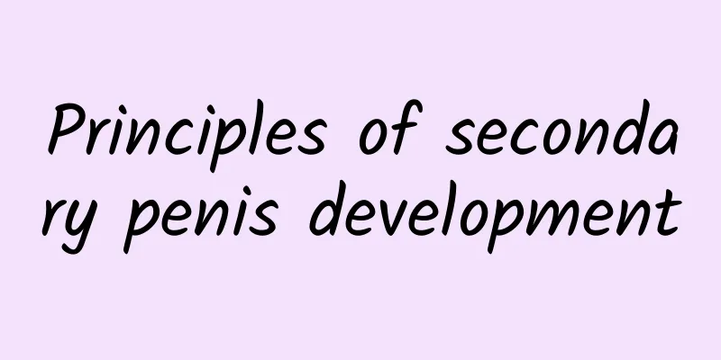 Principles of secondary penis development