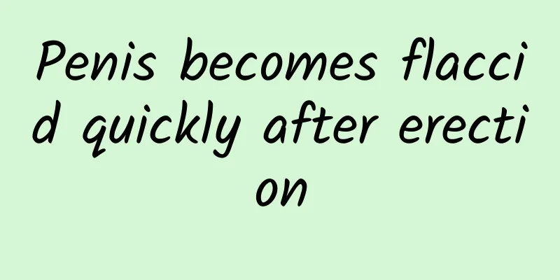 Penis becomes flaccid quickly after erection