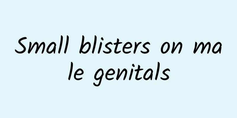 Small blisters on male genitals
