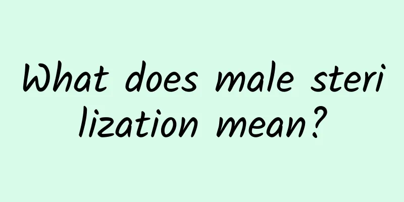 What does male sterilization mean?