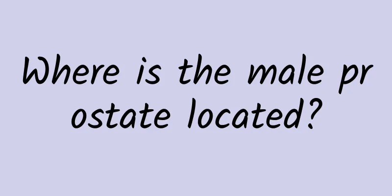 Where is the male prostate located?