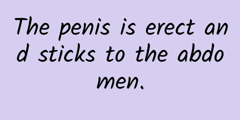 The penis is erect and sticks to the abdomen.