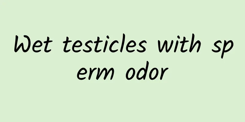 Wet testicles with sperm odor