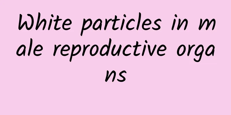 White particles in male reproductive organs